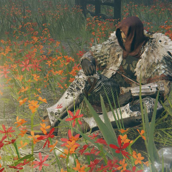 Tips and Tricks for Beginners